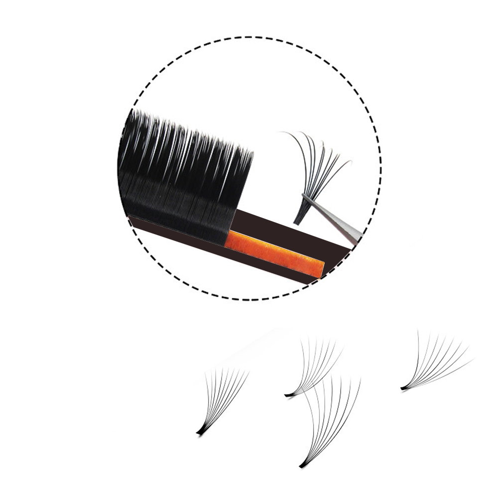 MASSCAKU Easy Fanning Volume M – Lash Fan Volume Bewertung und Preis