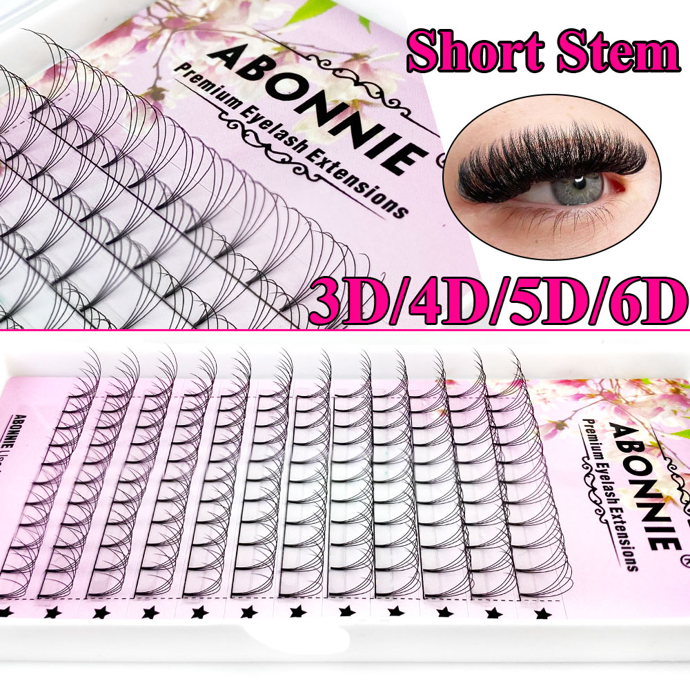 Abonnie 6D Narrow Fan Vorgefer – Lash Fan Volume Bewertung und Preis