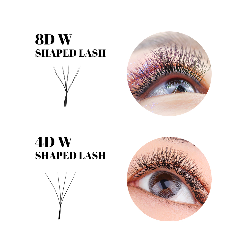 FADVAN W-Form Doppelschicht-Wi – Lash Fan Volume Bewertung und Preis
