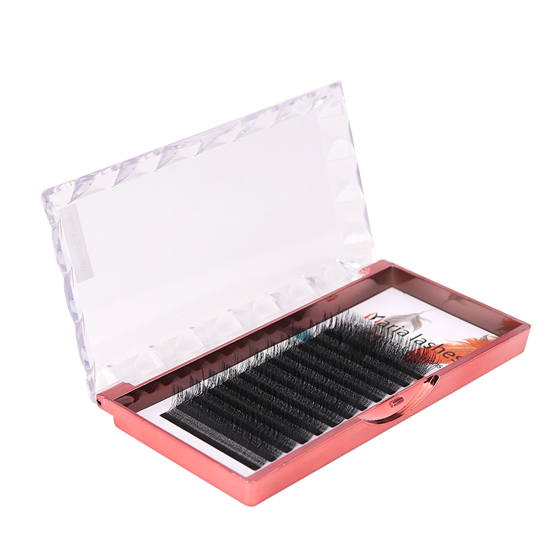 MARIA 10 Fälle 4D W-förmiger S – Lash Fan Volume Bewertung und Preis