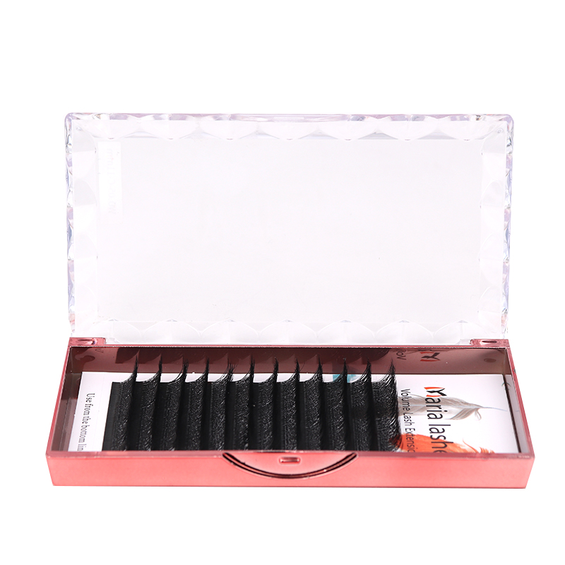 MARIA 10 Fälle 4D W-förmiger S – Lash Fan Volume Bewertung und Preis